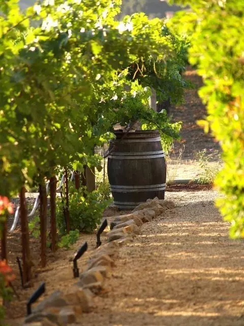 10229_Napa_1289478147
