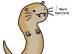 Ferrets's Avatar