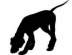 LawHound's Avatar