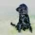Josh2008's Avatar