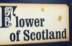 flowerofscotland's Avatar