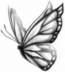 Butterfly Lady's Avatar